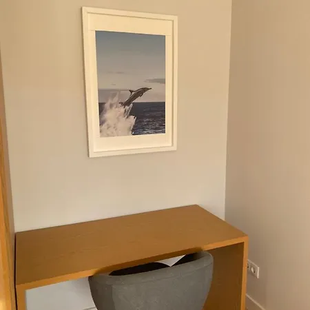 Altamira Gb * 에스타레자